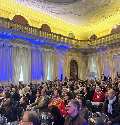 2-9 - dimensioni grandi - dimensioni medie