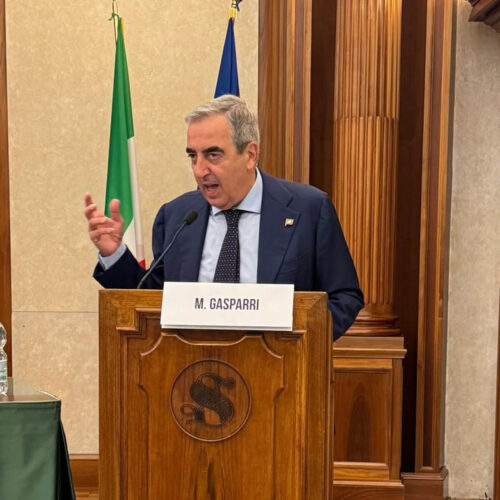 FADOI-Senato1_0001_FADOI-Senato5