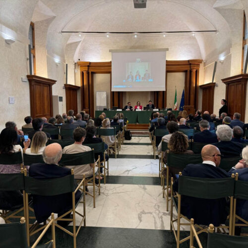 FADOI-Senato1_0002_Sfondo